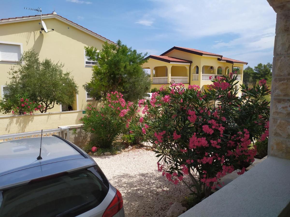 Apartmani Vjeko Vir Exteriör bild