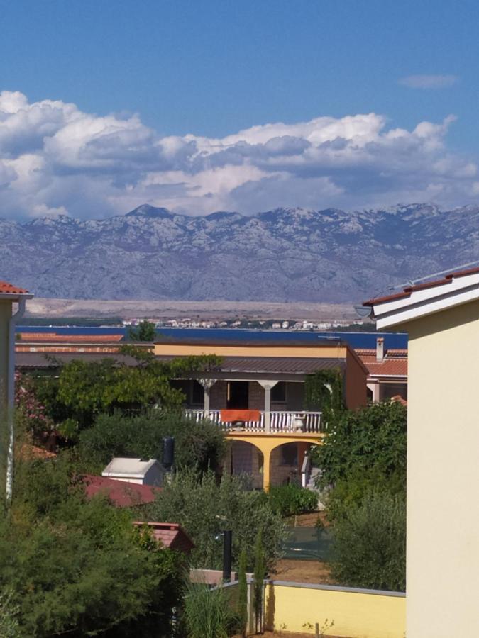 Apartmani Vjeko Vir Exteriör bild