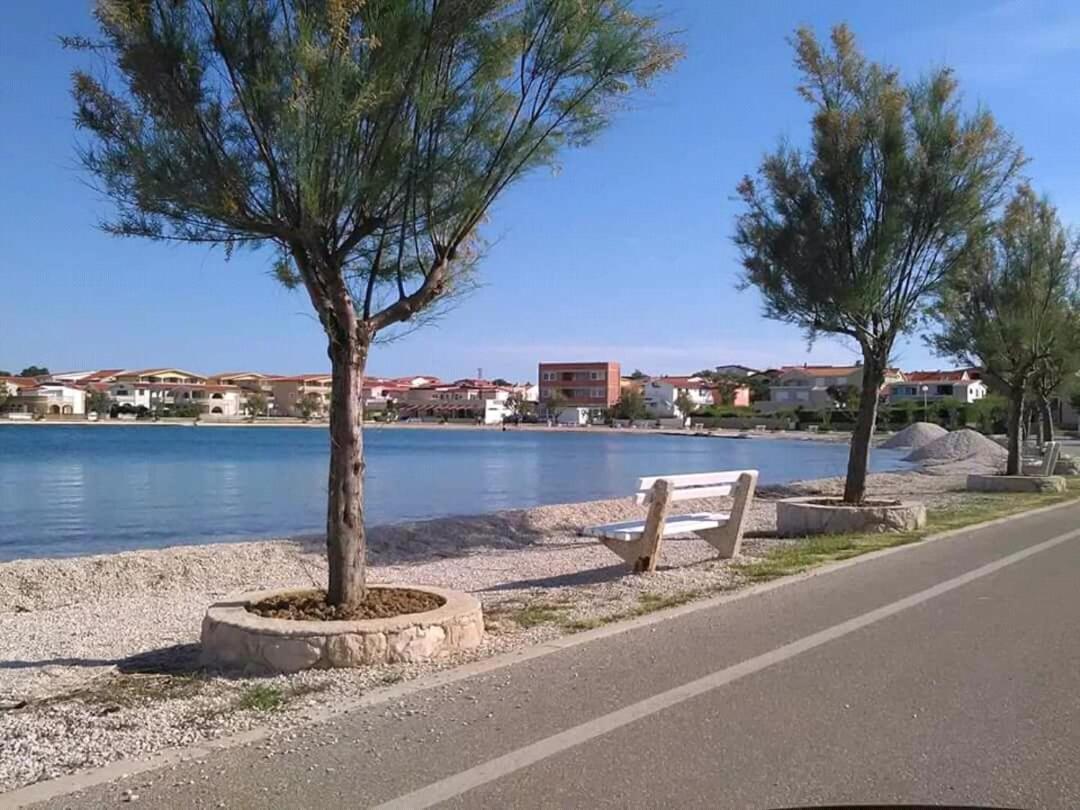 Apartmani Vjeko Vir Exteriör bild